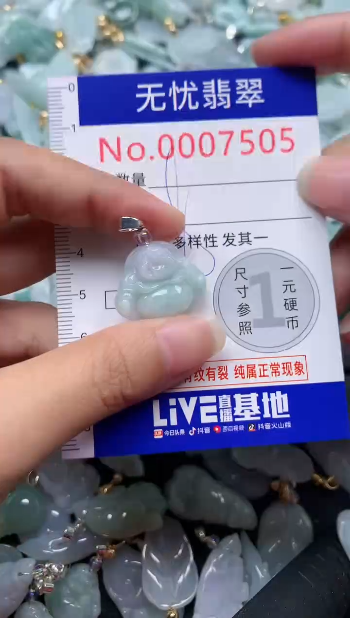 颈饰未镶嵌翡翠7505