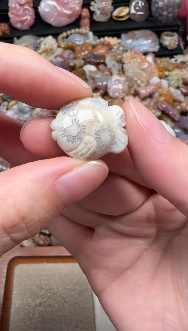 颈饰未镶嵌硅化珊瑚（珊瑚玉）782