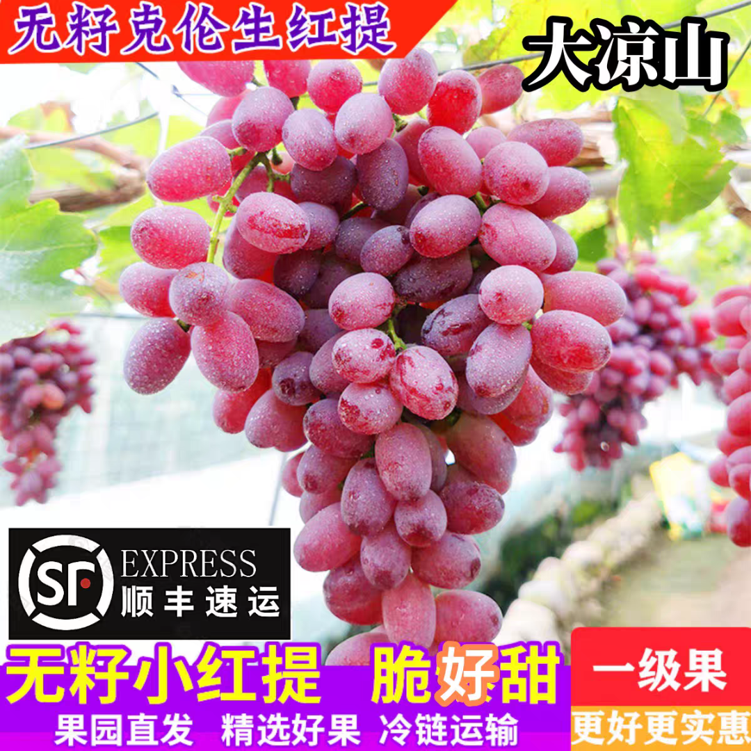 【顺丰明日达】西昌“克伦生无籽红提LM 自然生长不打药 部分掉粒干枝 不影响食用”10.15四川省
