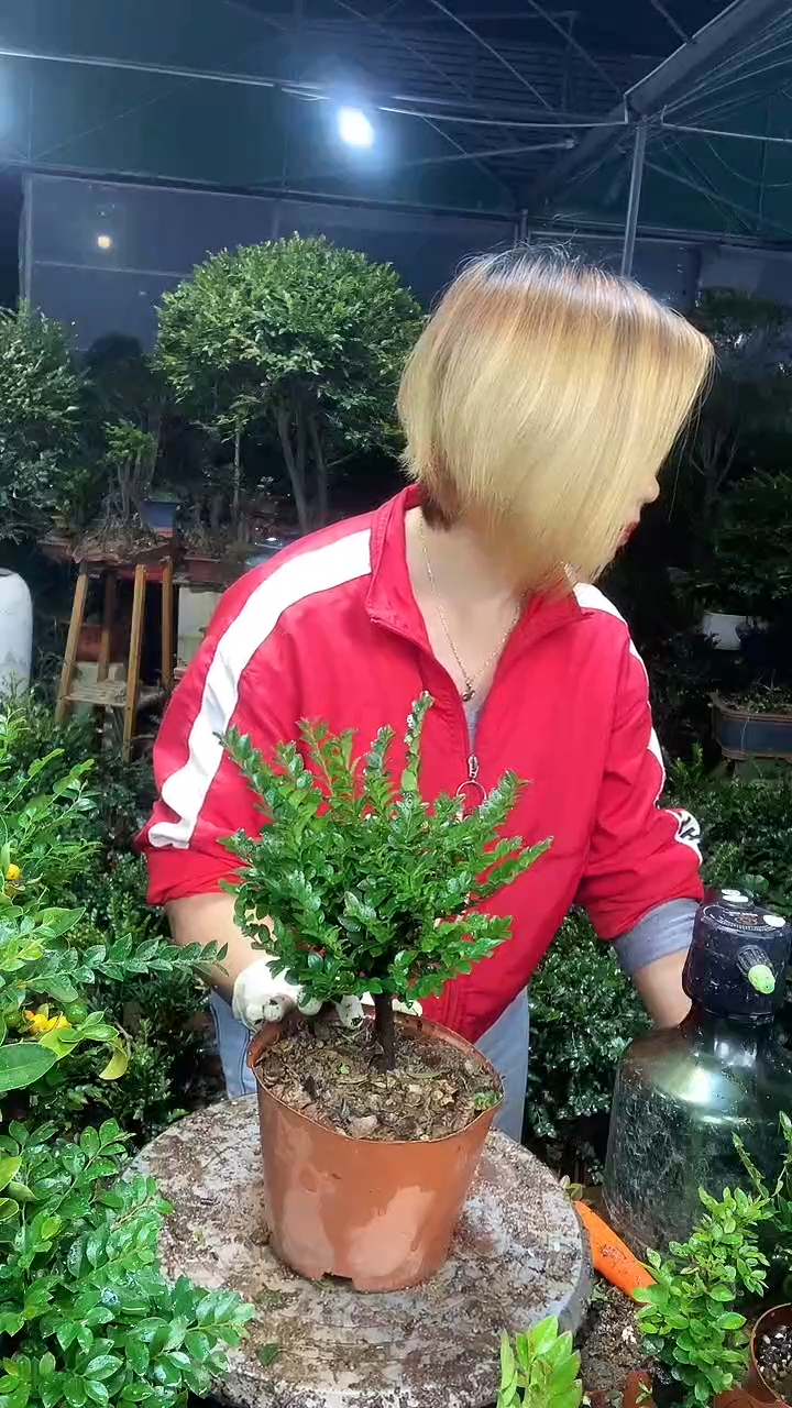 完全开放111111111