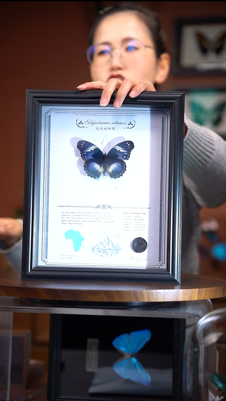 弱水斑蛱蝶    常规