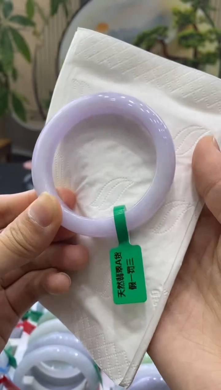 未镶嵌手镯翡翠9122