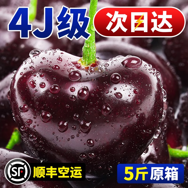 加大加黑桑提娜3JDD特级空运进口车厘子5斤原箱礼盒装内附果径卡