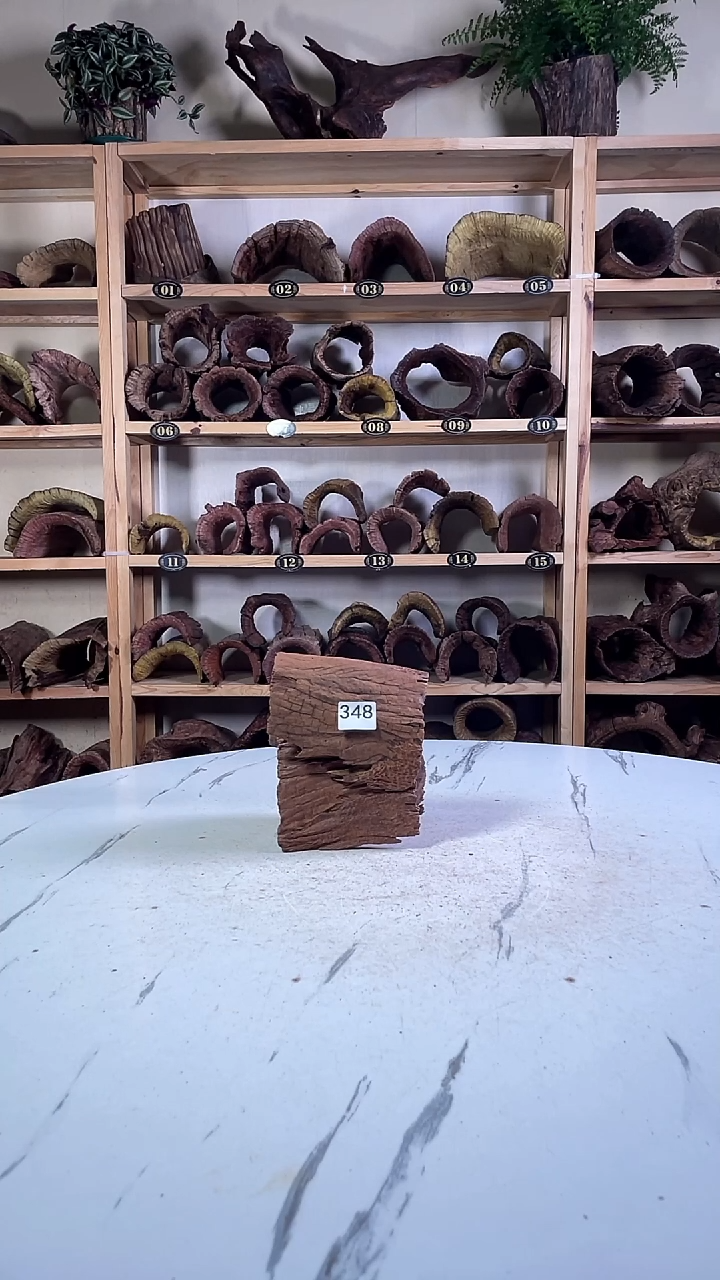 嘘*云南紫柚木造景沉木348