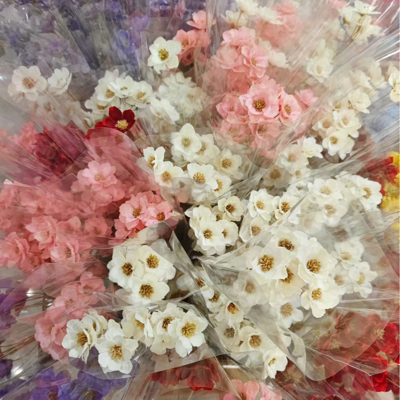 【银铃花】永生花干花银铃花纯色装饰花diy手工材料插花配草小配花