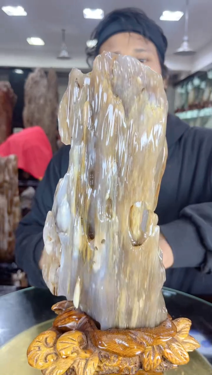 【闪购商品】硅化玉珠宝奇石未镶嵌缅甸天然树化玉