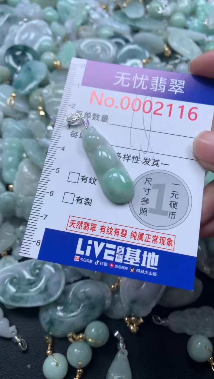 颈饰未镶嵌翡翠2116