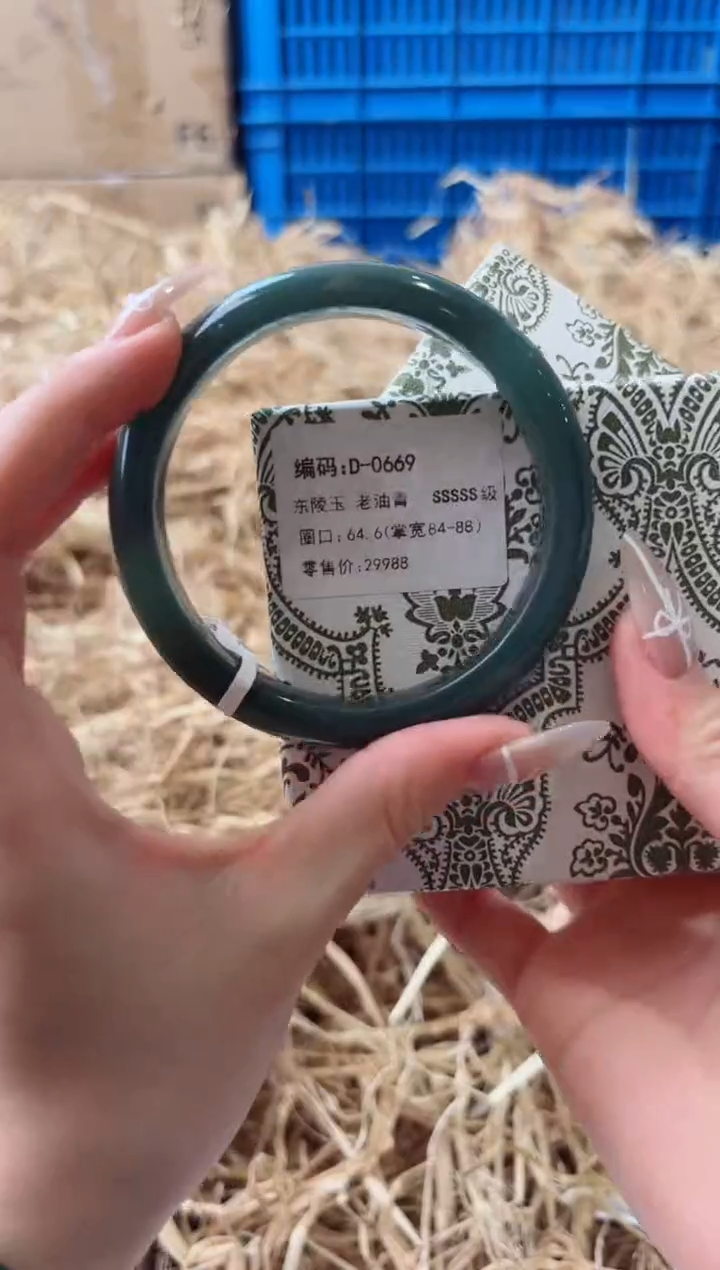 未镶嵌手镯石英质玉D-0669