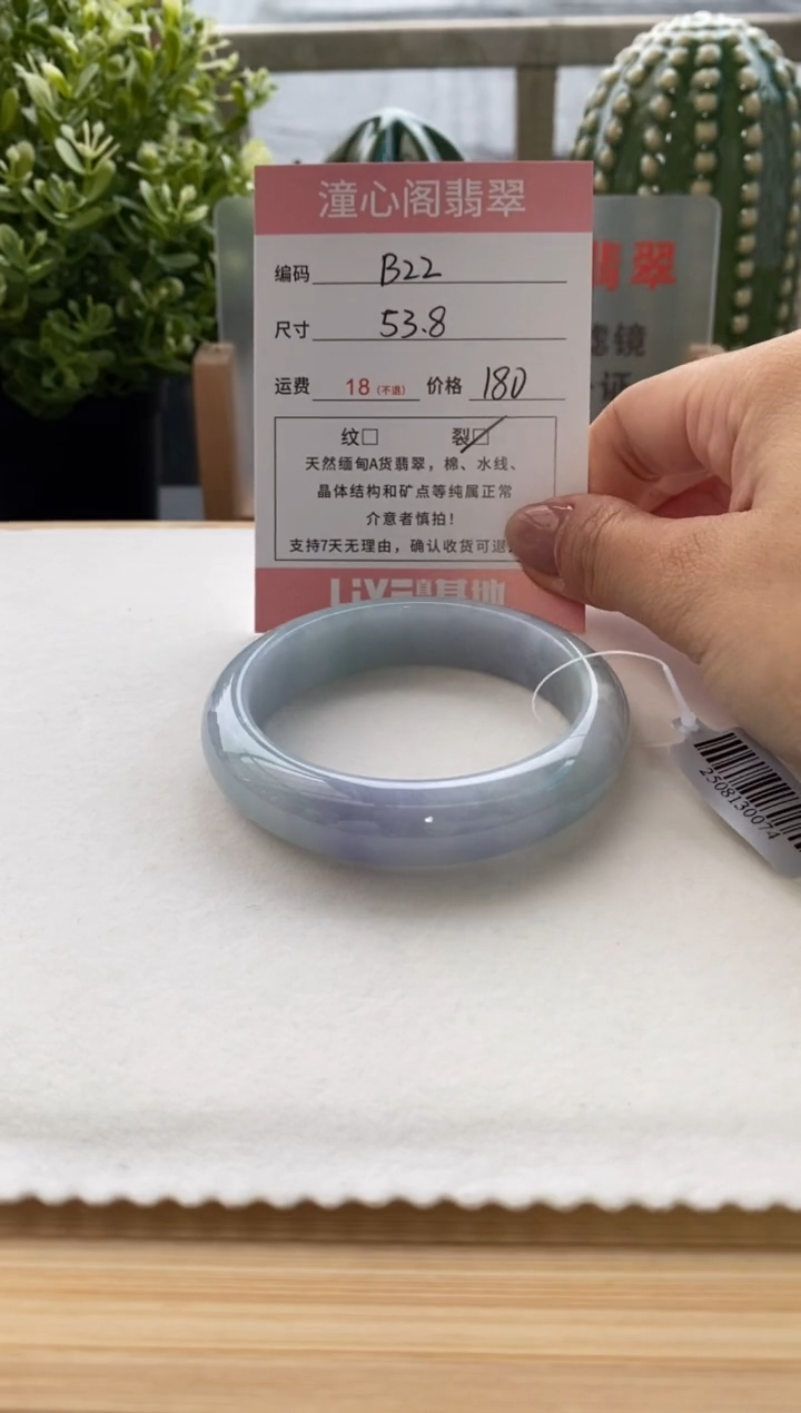 未镶嵌手镯翡翠53.8圈口 编码 B22
