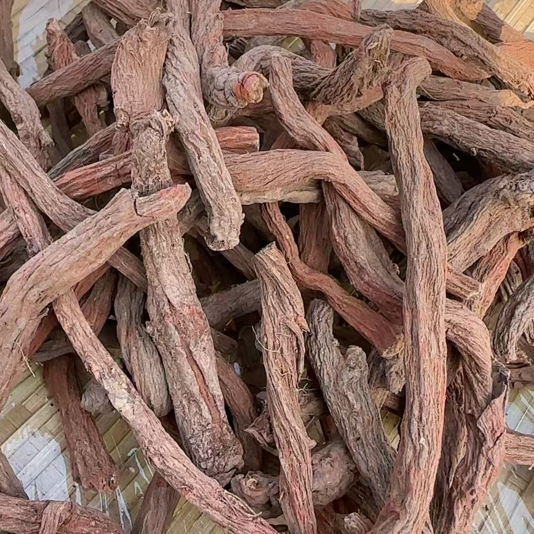 秦巴高山高海拔（紫丹参）