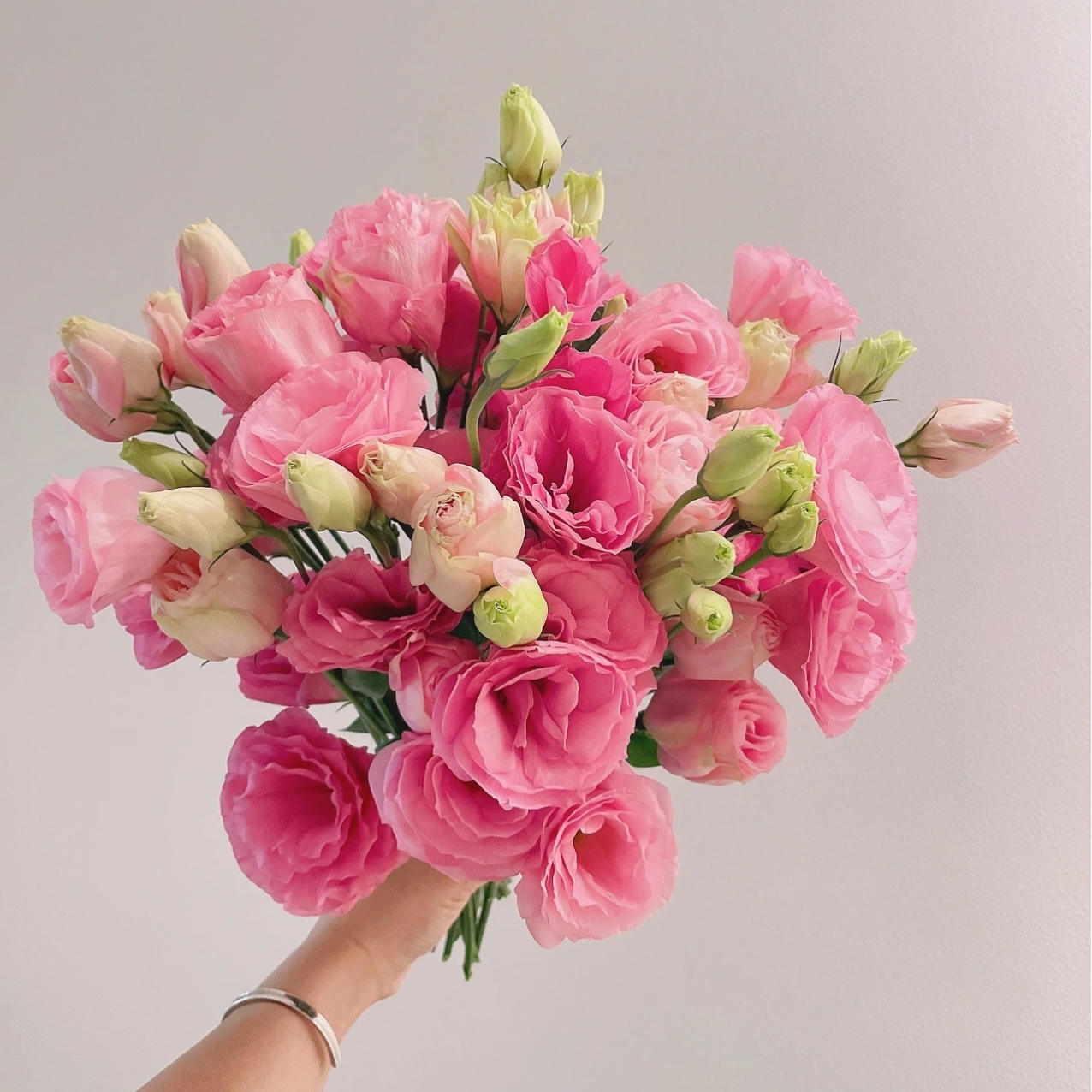 【粉色佳人】维纳斯粉洋桔梗400克装