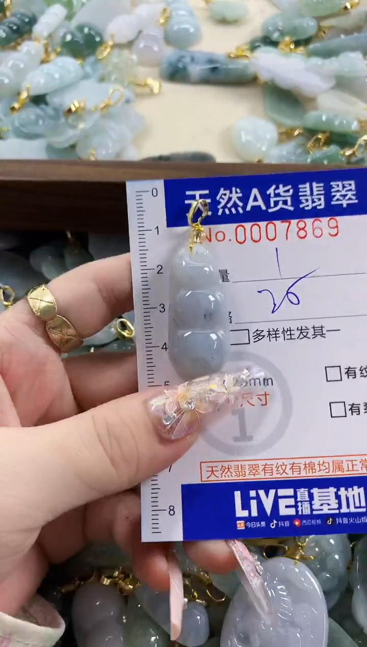 颈饰未镶嵌翡翠天然A货翡翠