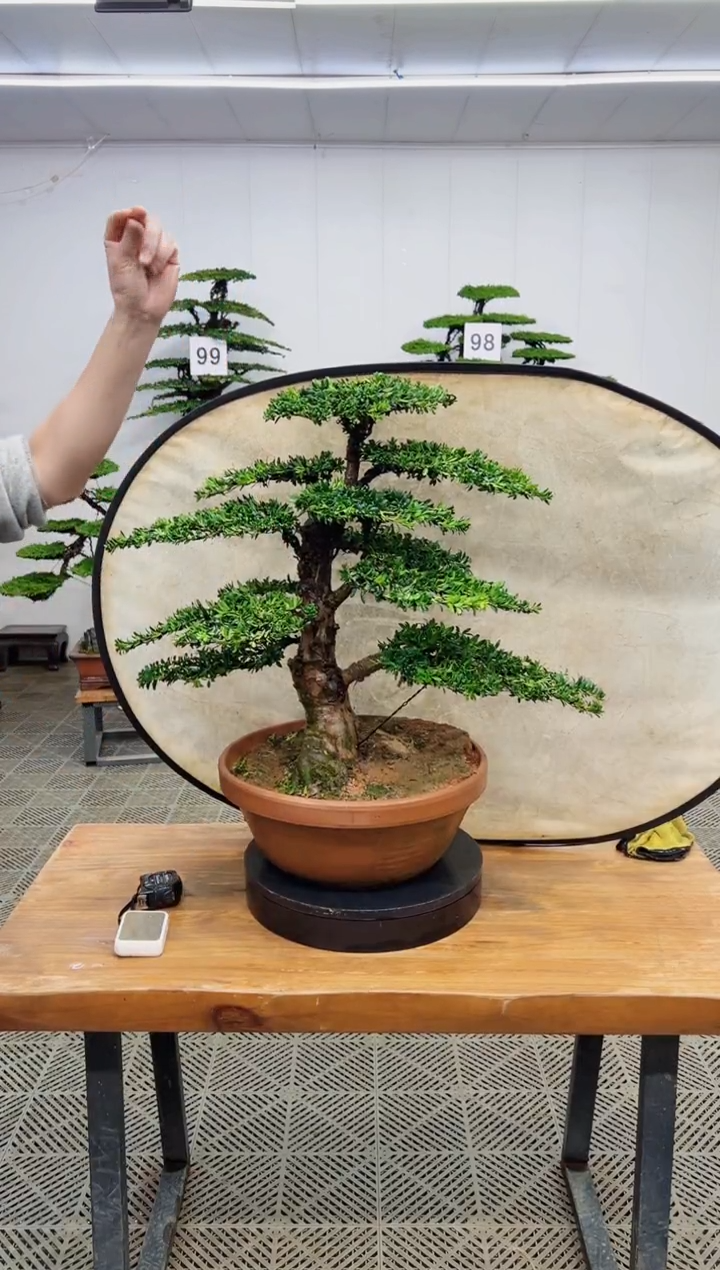 无花朵一物一拍一物一拍