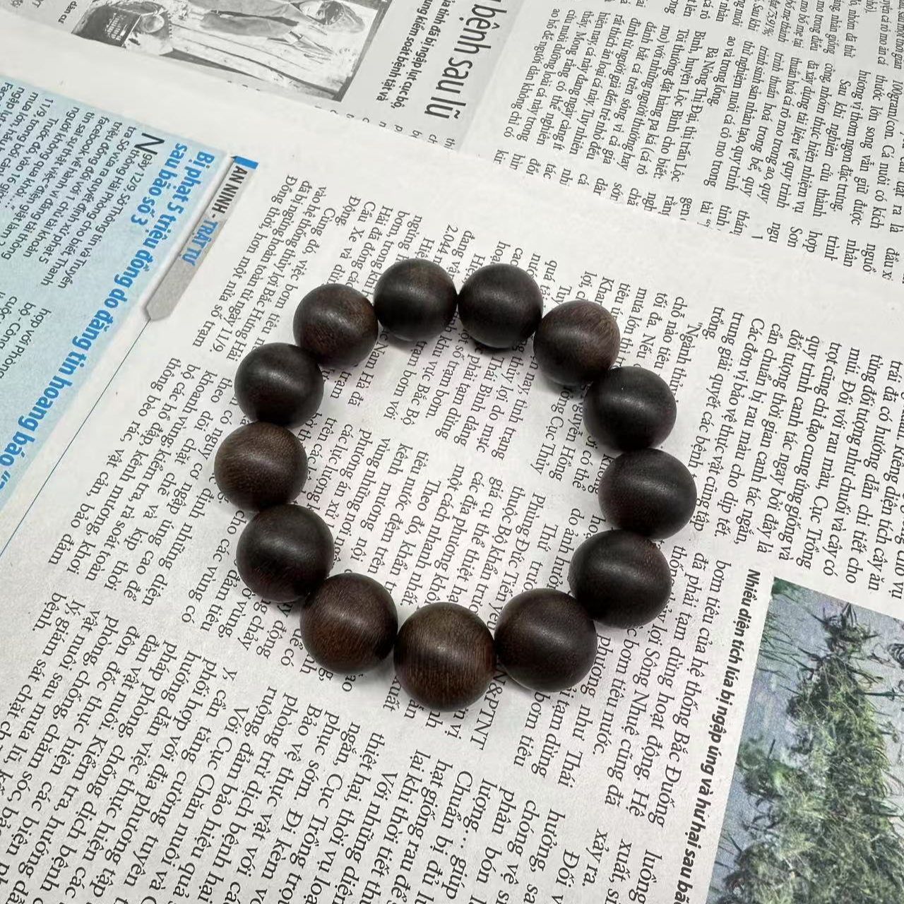 JXJH55文莱黑贡棋沉香单圈手串（多样性发货）