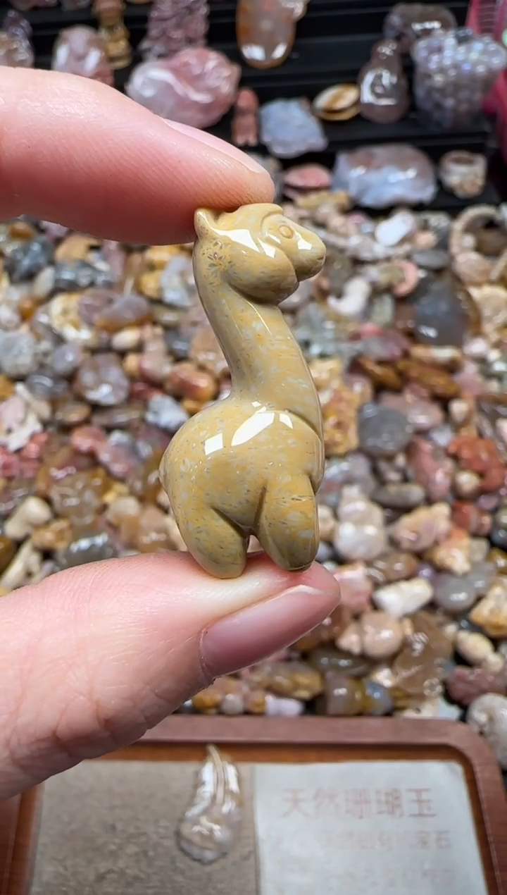 颈饰未镶嵌硅化珊瑚（珊瑚玉）256