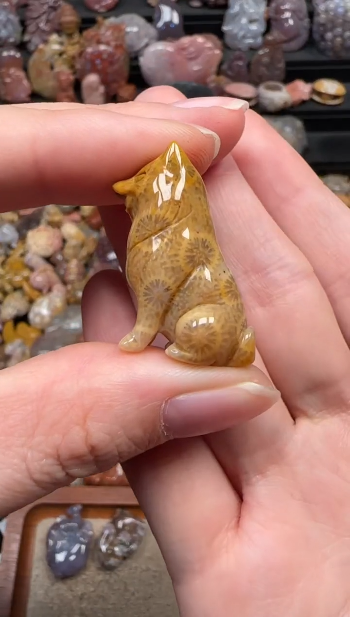 颈饰未镶嵌硅化珊瑚（珊瑚玉）243