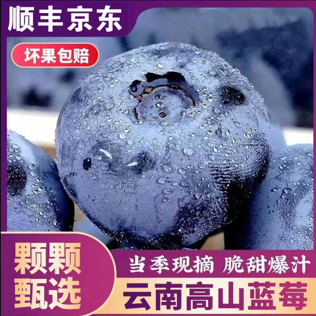 顺丰/JD云南蓝莓15mm+100g*2盒净重180g起新鲜肉厚内附果径卡S8-1商品图