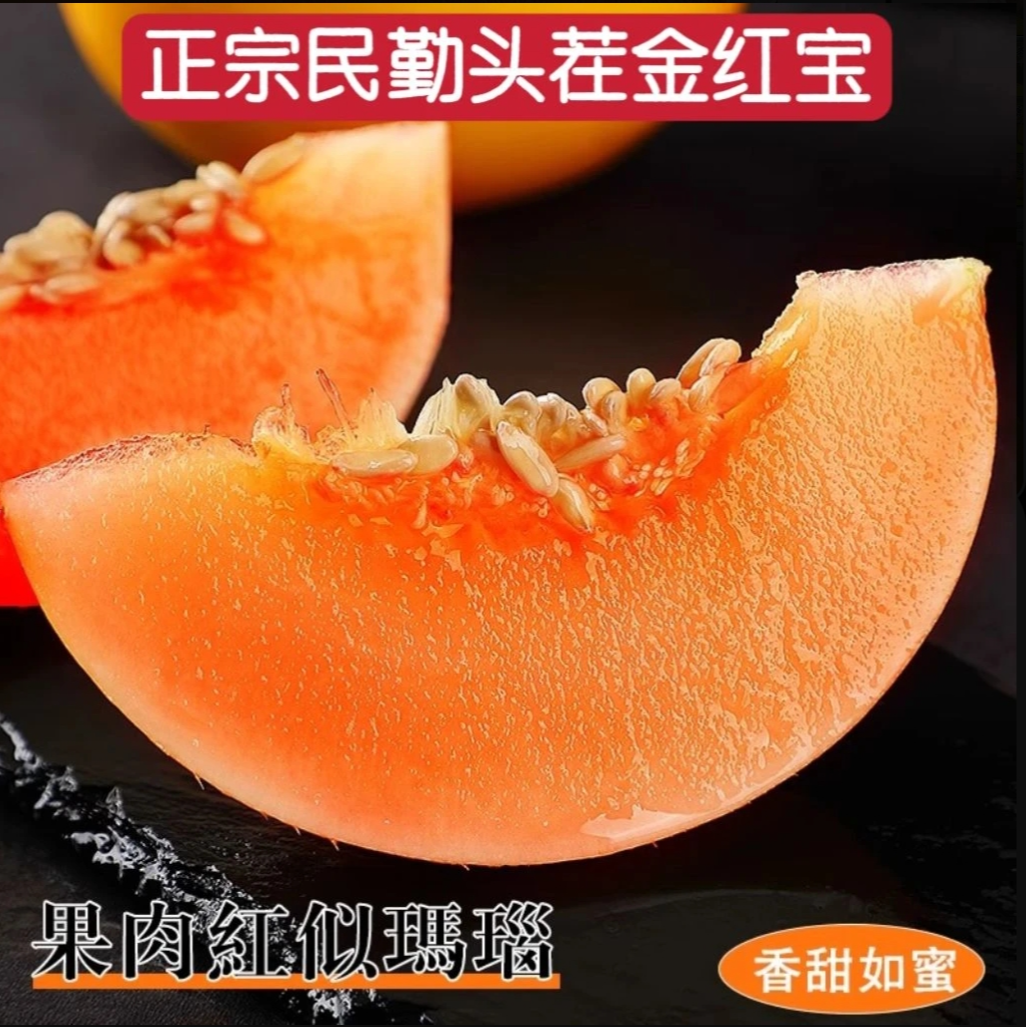 【产地直发】甘肃民勤蜜瓜产地直发金红宝黄金蜜瓜当季新鲜水果dw