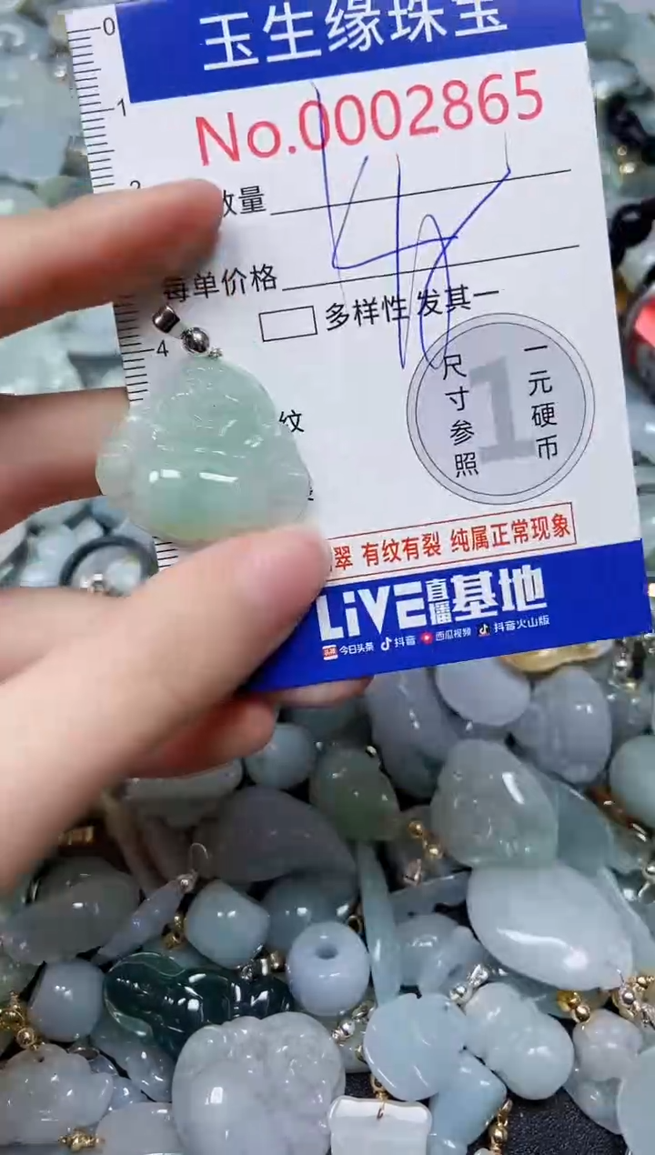 【闪购商品】翡翠颈饰未镶嵌闪购00002865