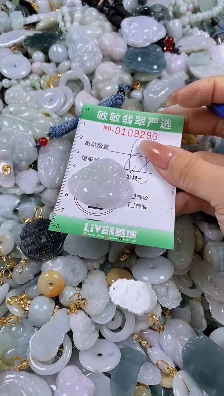 【闪购商品】翡翠颈饰未镶嵌闪购0109293