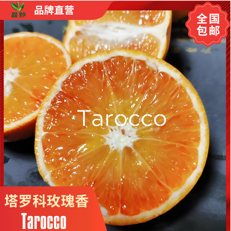 塔罗科玫瑰香橙 果园直发 包邮（偏远地区外）