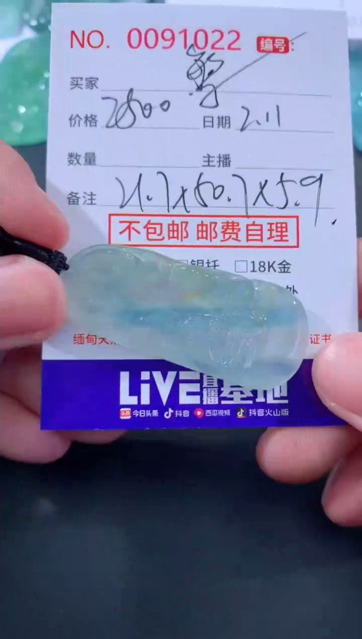 【闪购商品】翡翠颈饰未镶嵌繁华
