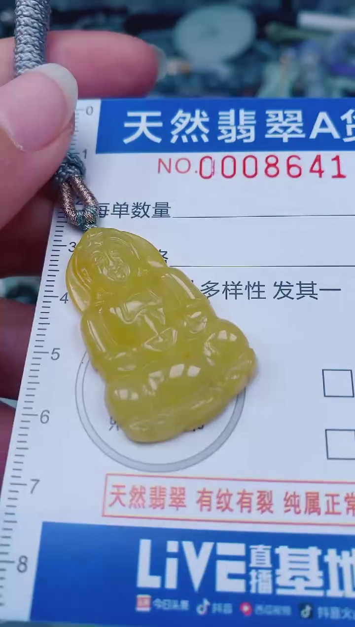 颈饰未镶嵌翡翠00008641