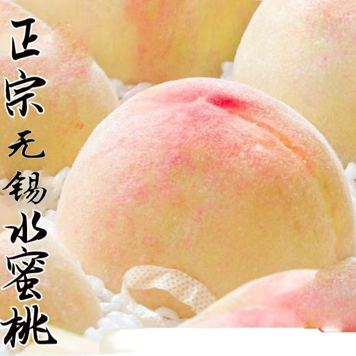 正宗无锡新鲜应季水蜜桃鲜甜多汁脆软可选水果网红桃子桃子同城送江苏省