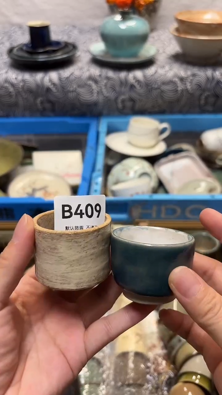 瓷片白*喵喵家都是大漂亮