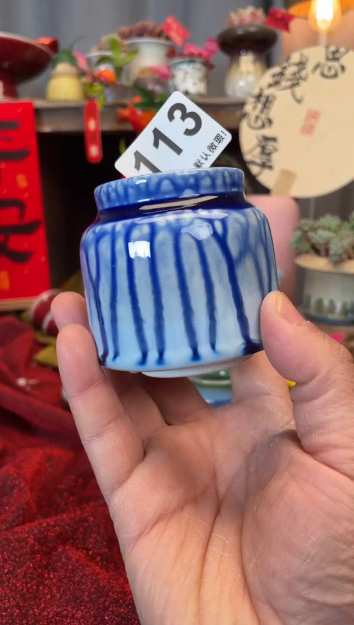 【闪购商品】摆件113知木小芳花盆