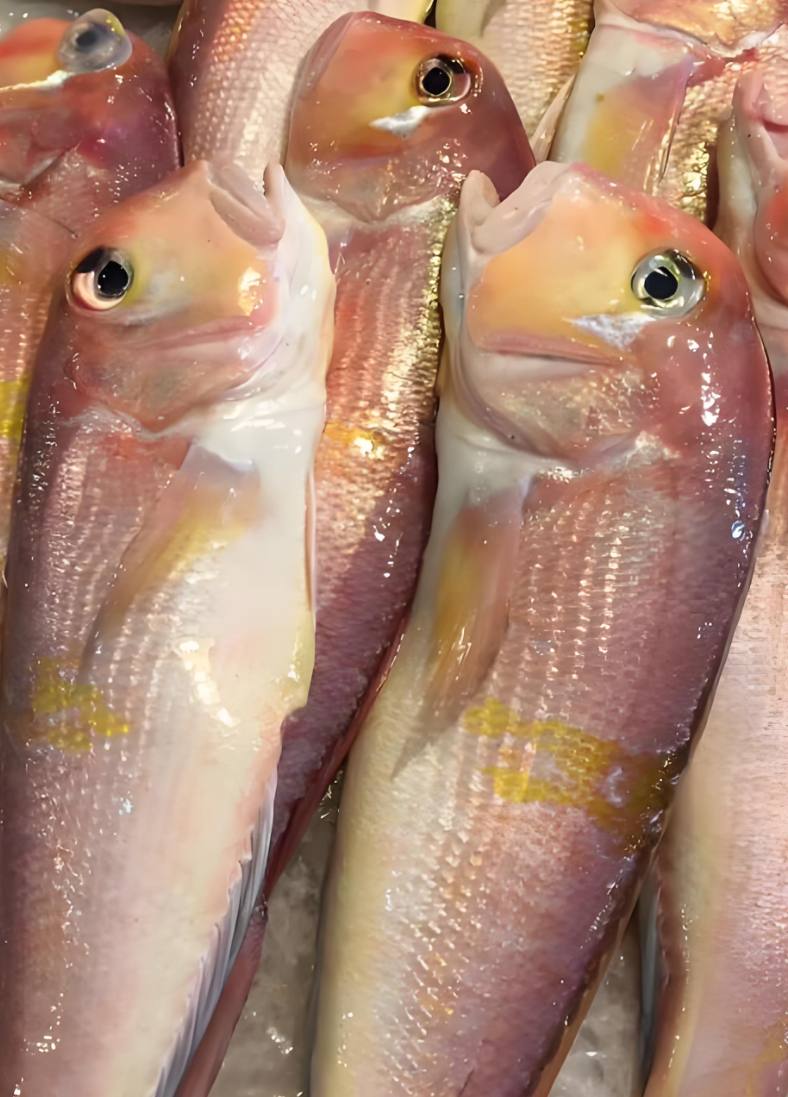 【东海现捕斧头鱼4斤】深海野生斧头鱼顺丰包邮