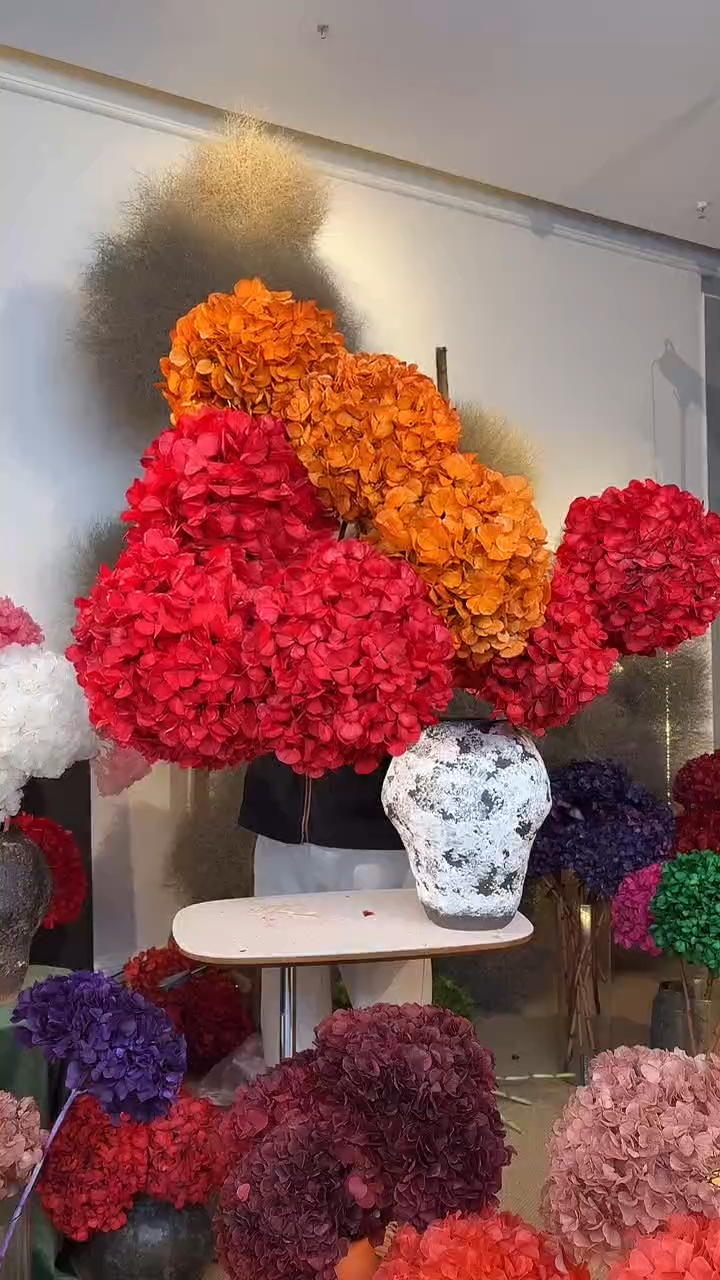 吸色永生大叶绣球6枝  橙色3 红色3