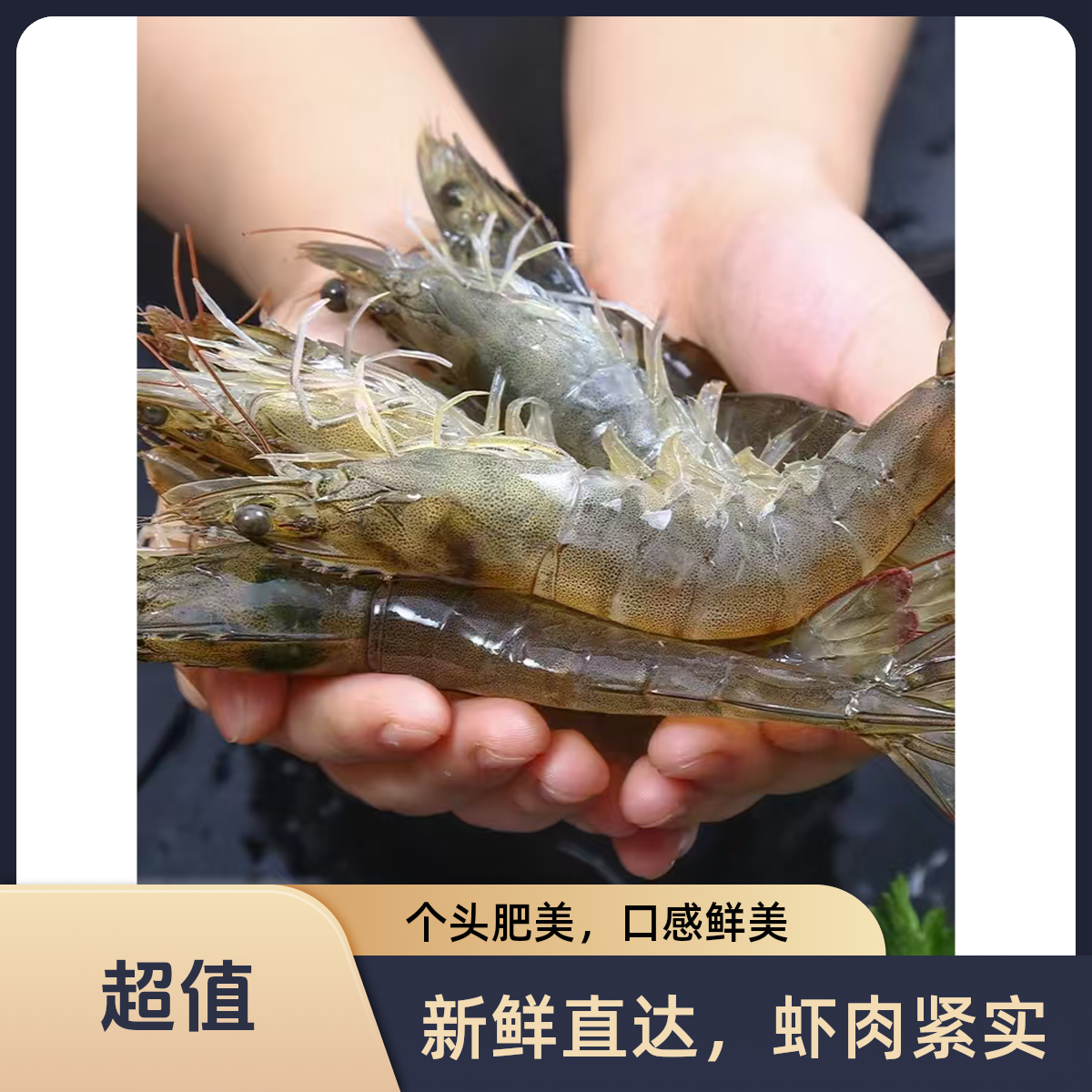 【鑫鑫优选】不限量不限购精品海水明虾（500G/一斤装） （包鲜不包活）