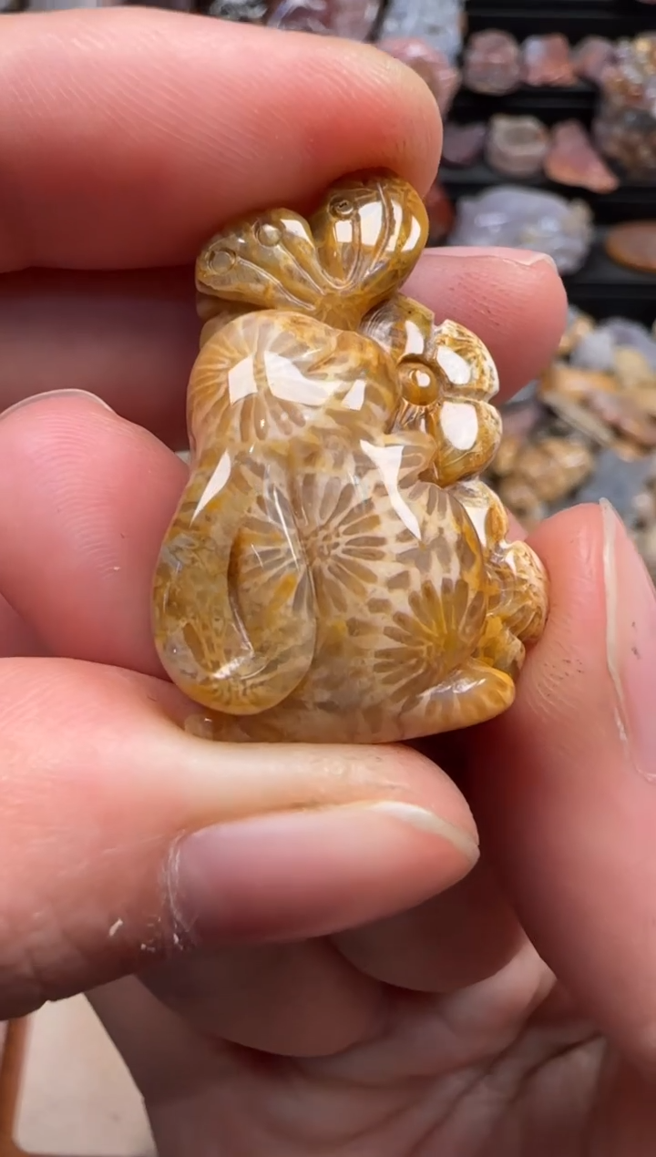 【闪购商品】硅化珊瑚（珊瑚玉）颈饰未镶嵌237