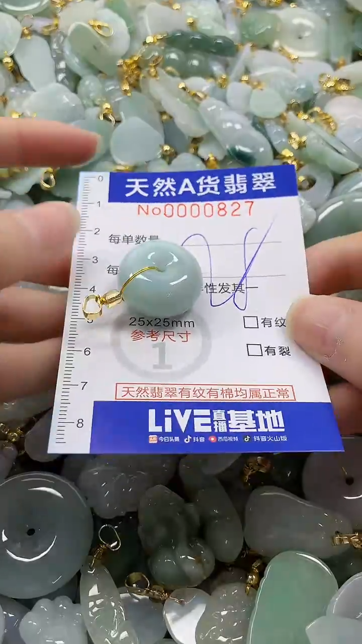 颈饰未镶嵌翡翠纯天然a货翡翠