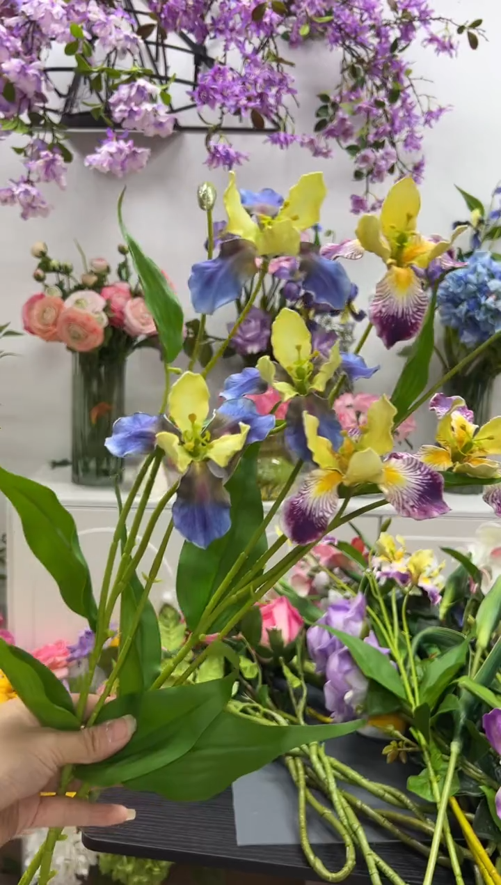 2枝混色鸢尾花花
