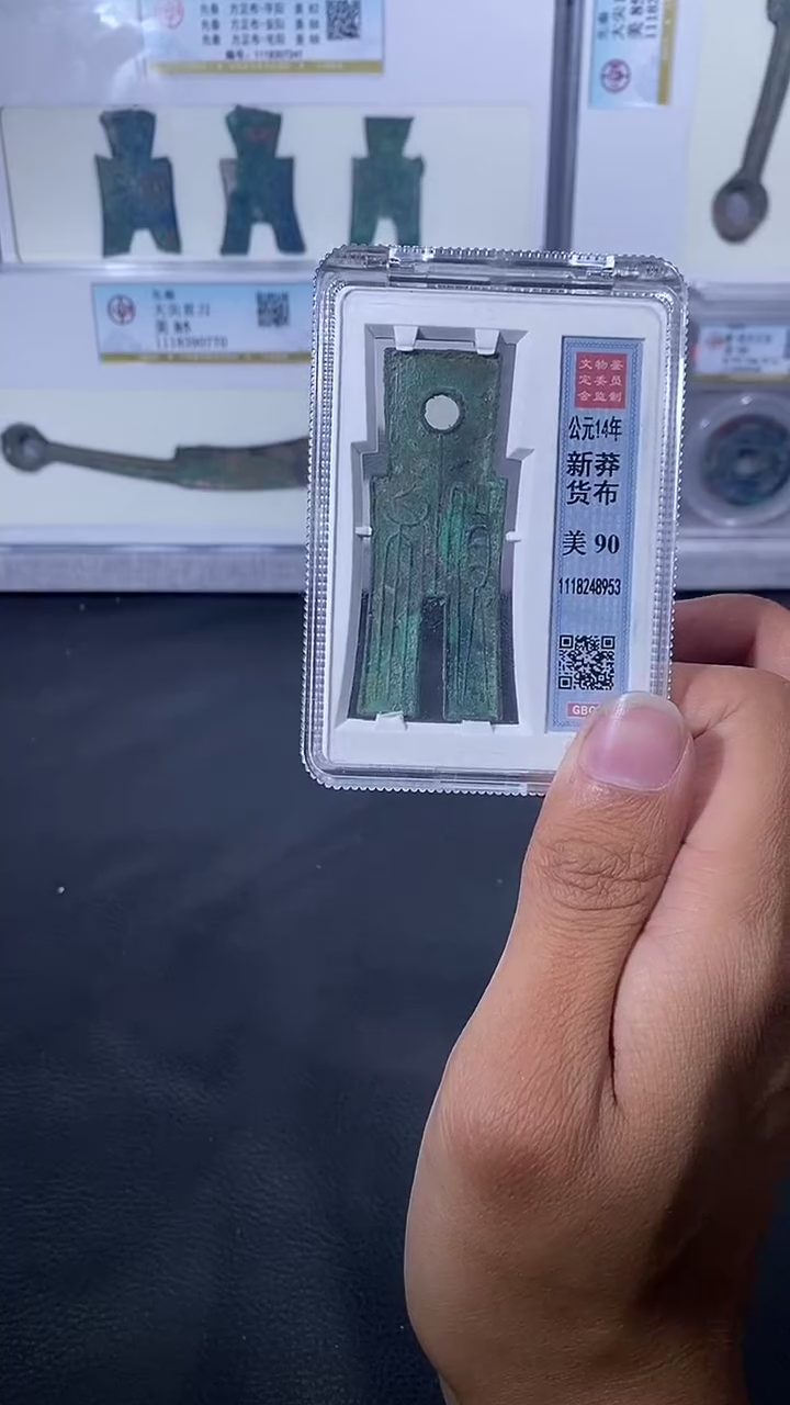 【闪购商品】金琪珍新莽货布一枚