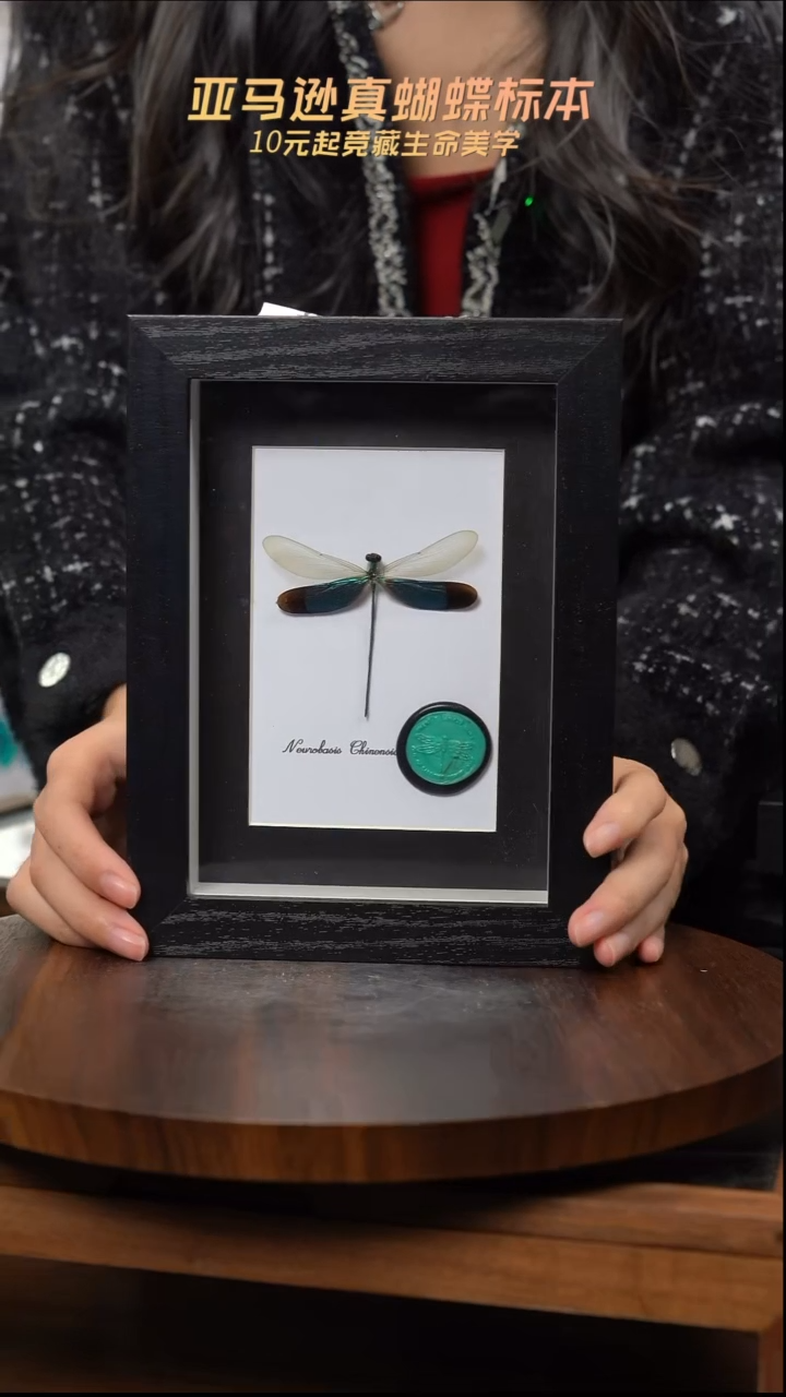 华艳色蟌火漆章版7寸黑框