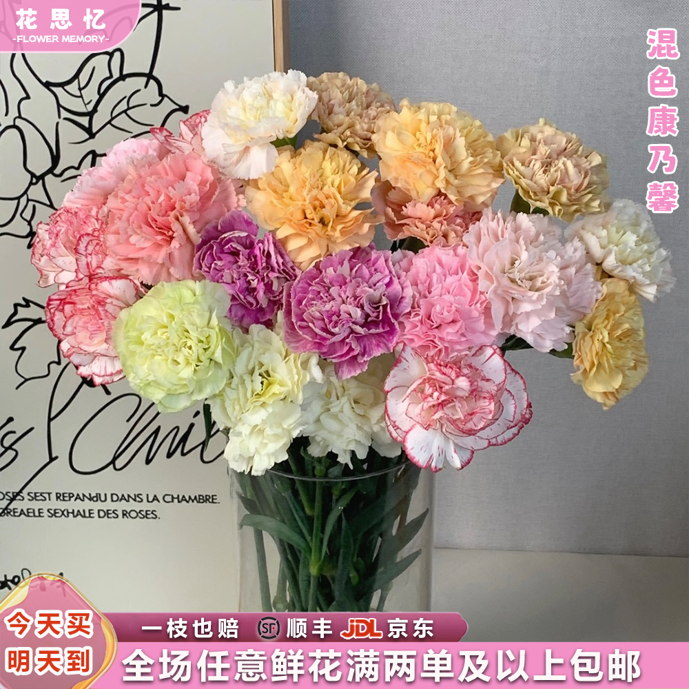『混色康乃馨10枝』家用云南鲜切花 满两单鲜花顺丰京东包邮 满三单鲜花送花瓶 康乃馨鲜花直播次日达包邮