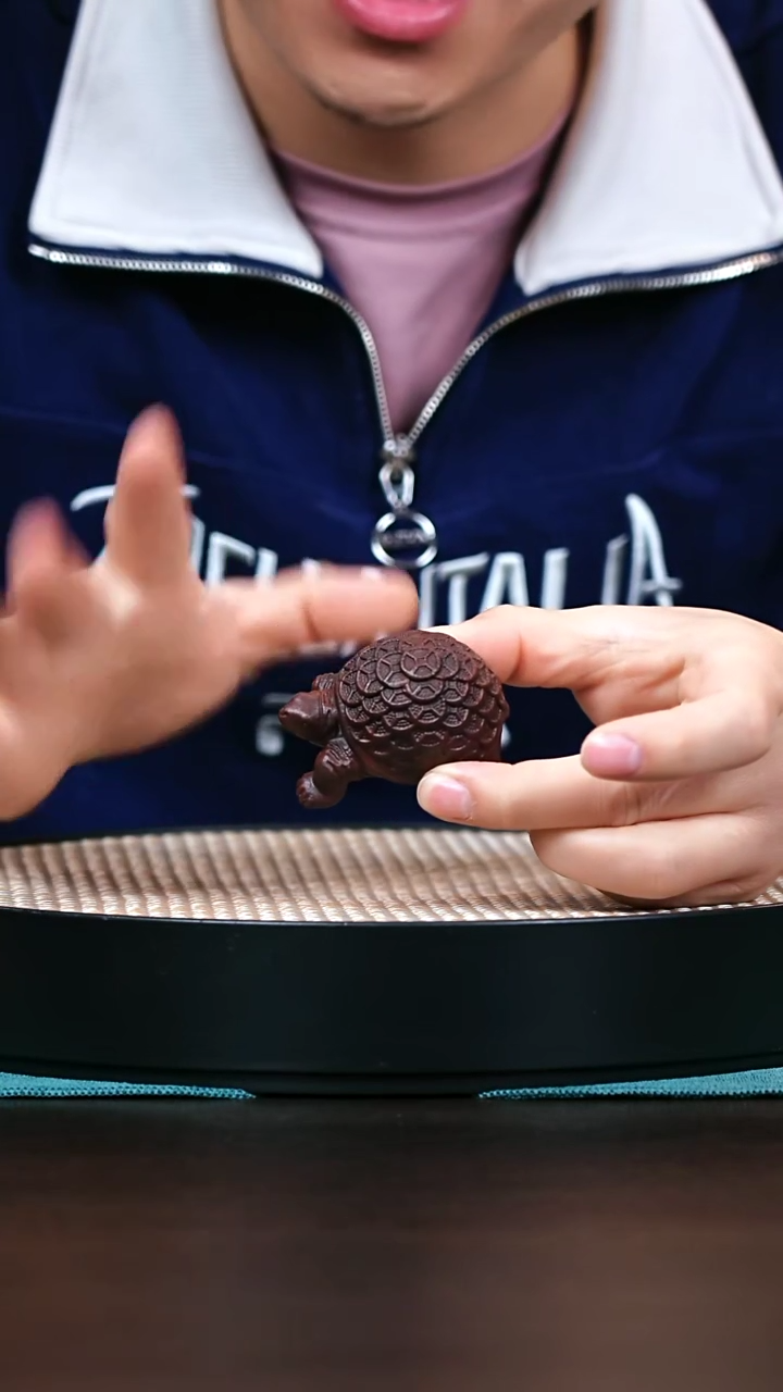 茶壶紫砂茶宠金钱龟
