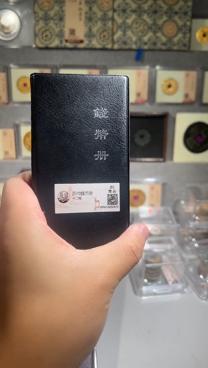 铜带评级 历代钱币册 共12枚  同分择优发