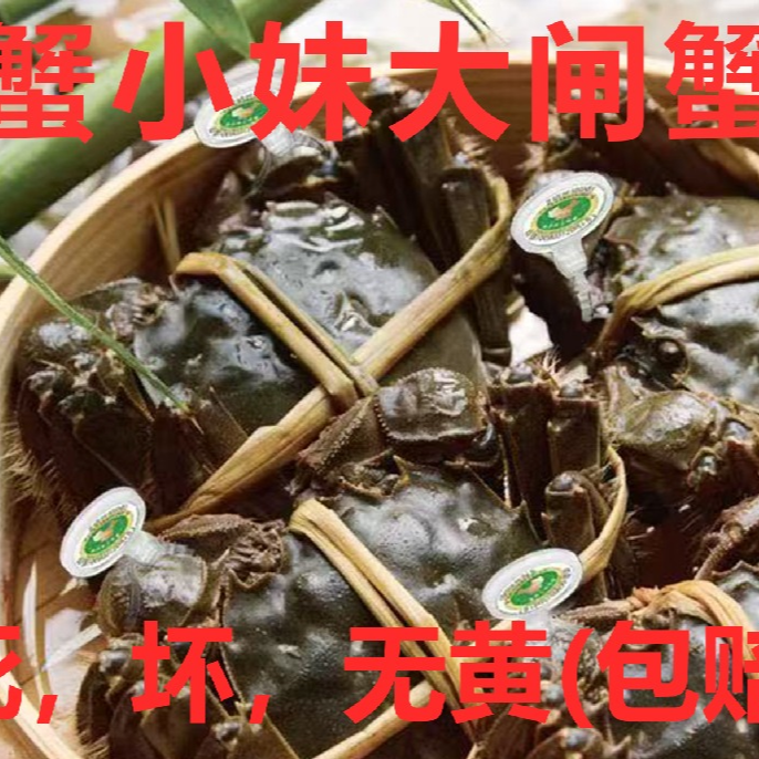 【清蒸精品】十只全母每只2.5两左右)精品手挑【注：死，坏，无黄(包赔)】