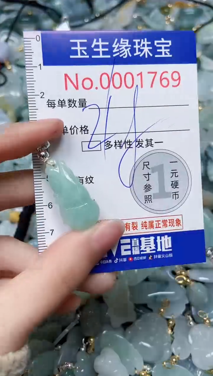 【闪购商品】翡翠颈饰未镶嵌闪购00001769