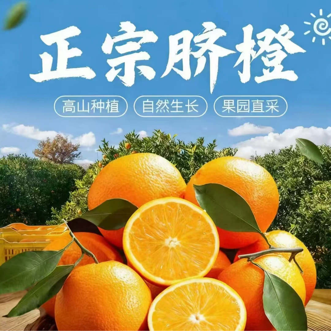 【产地直发】正宗赣南脐橙坏果包赔新鲜现采摘现发核心产地直发QD