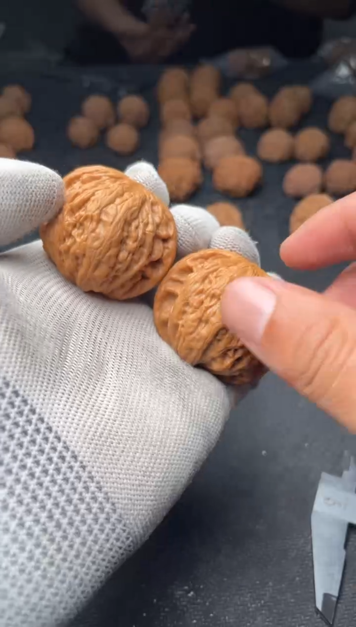 核桃a279  铁锤 42尺