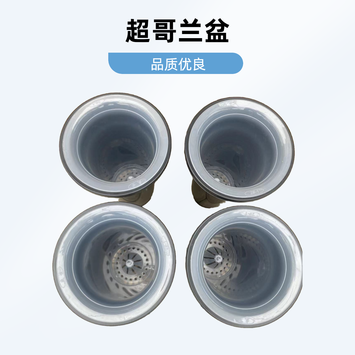 超哥兰苑兰花专用塑料盆