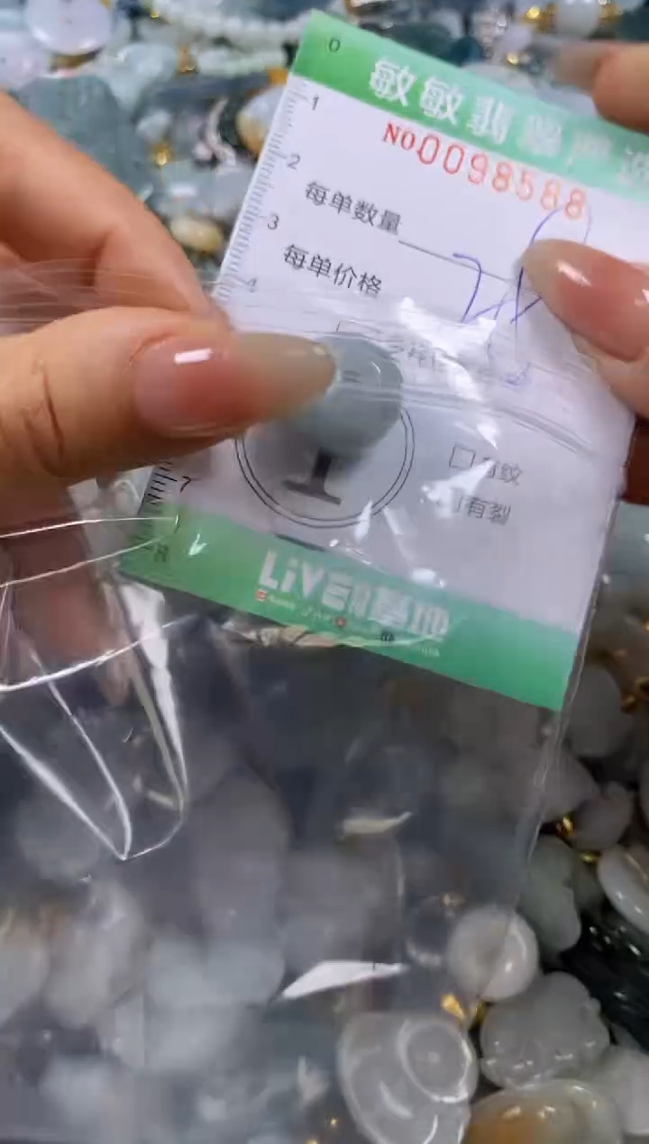 【闪购商品】翡翠颈饰未镶嵌闪购0098588