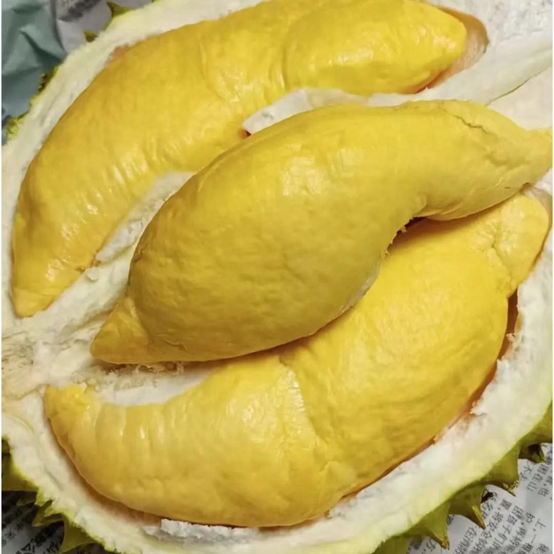 【京津冀次日达】正宗AA级干尧新鲜榴莲 香味浓郁 软糯香甜【2-10斤保底4-6房肉】核大干尧越南社会主义共和国