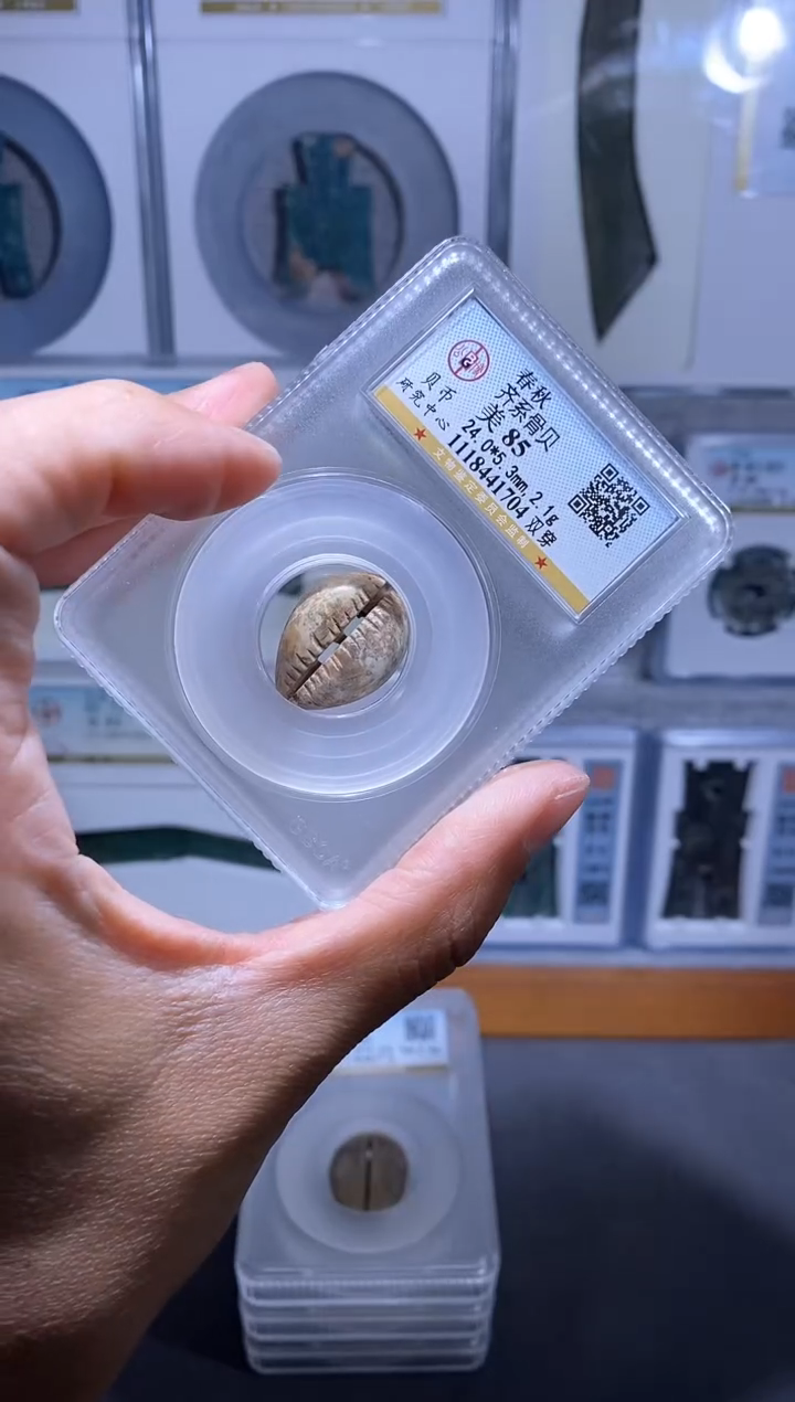 【闪购商品】金品泉 骨贝币一枚