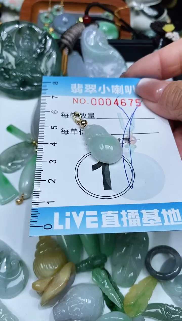 【闪购商品】翡翠颈饰未镶嵌闪购0004675